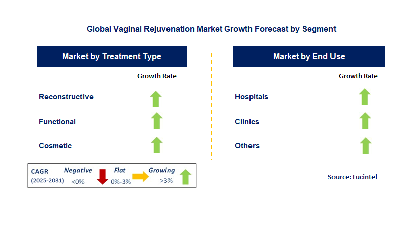 Vaginal Rejuvenation Market by Segment