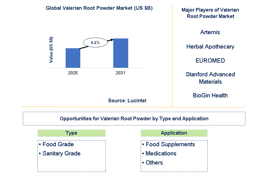 Valerian Root Powder Market Trends and Forecast