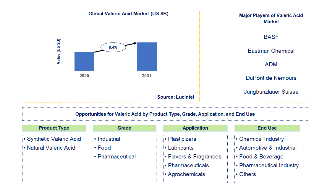 Valeric Acid Market Trends and Forecast