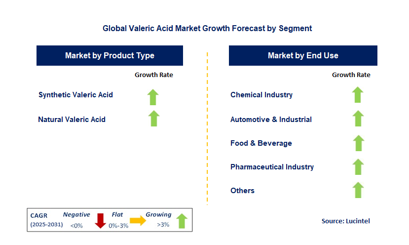 Valeric Acid Market by Segment