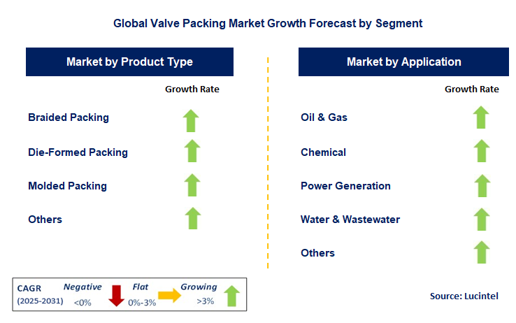 Valve Packing Market by Segment