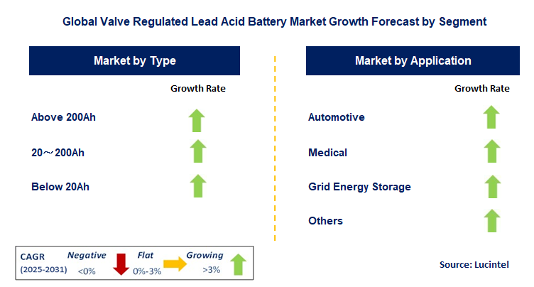 Valve Regulated Lead Acid Battery Market by Segment