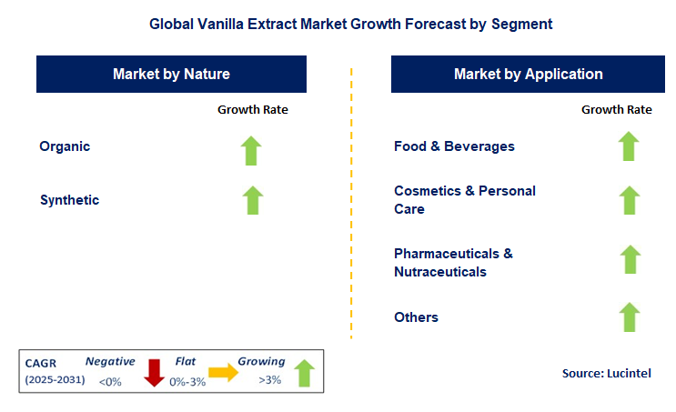 Vanilla Extract Market by Segment