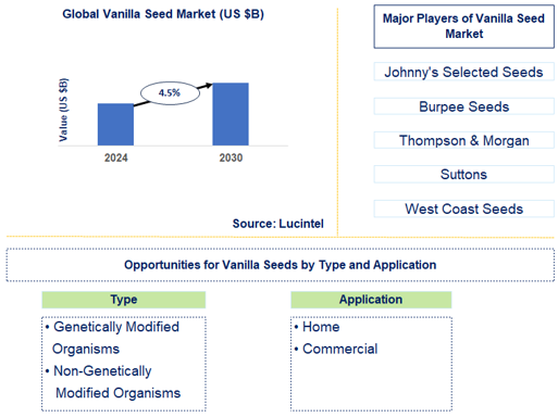 Vanilla Seed Market Trends and Forecast