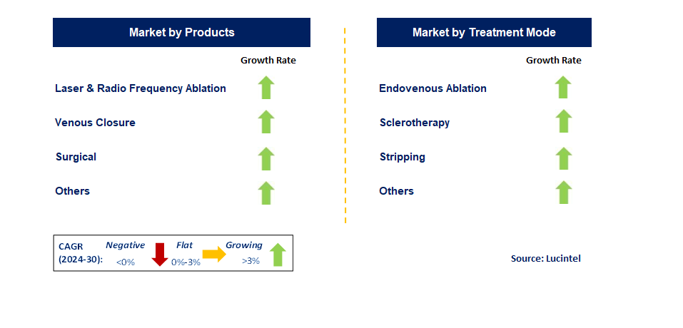 Varicose Veins Treatment Devices by Segment