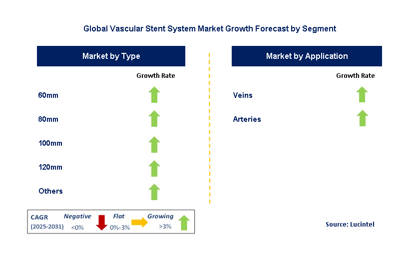 Vascular Stent System Market by Segment