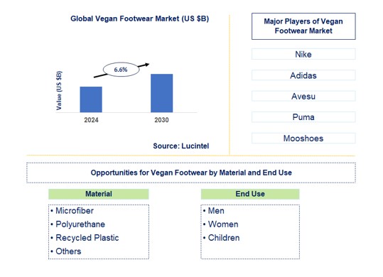 Vegan Footwear Trends and Forecast