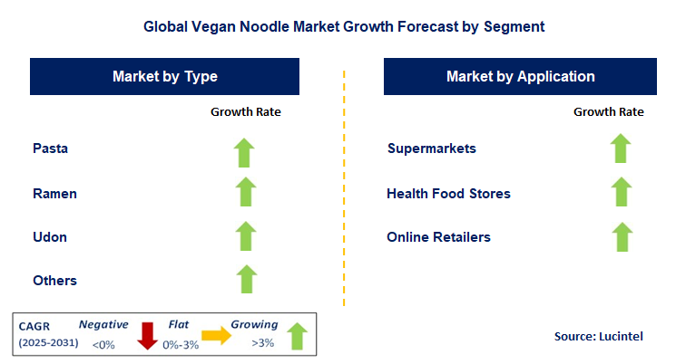 Vegan Noodle Market by Segment