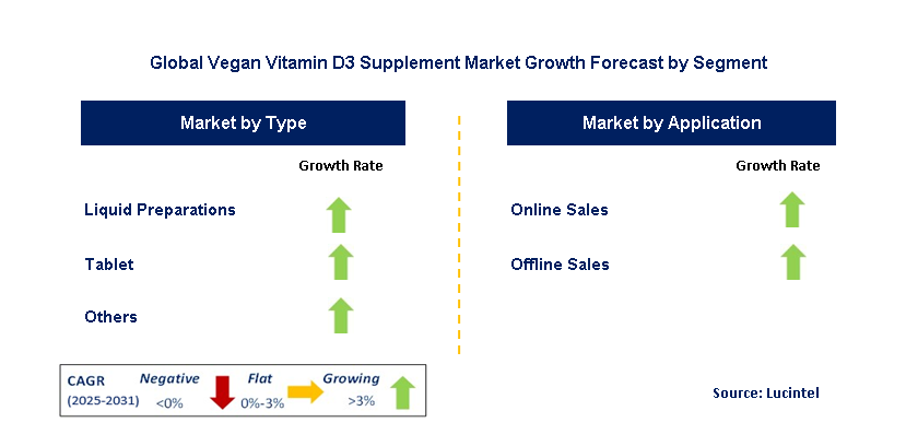 Vegan Vitamin D3 Supplement Market by Segment