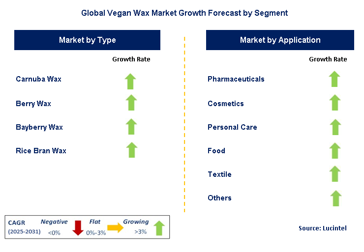 Vegan Wax Market by Segment