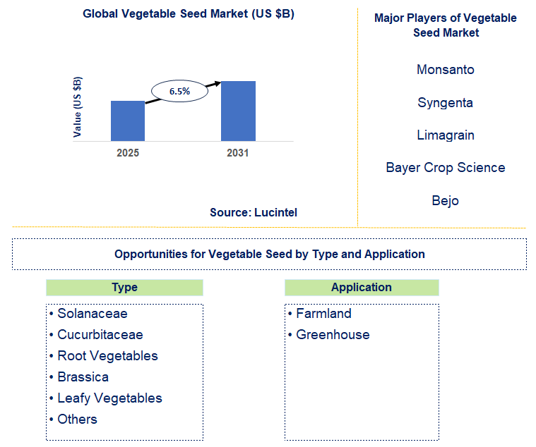 Vegetable Seed Market Trends and Forecast