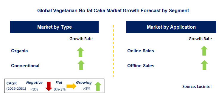Vegetarian No-fat Cake Market by Segment