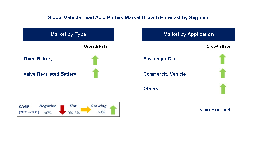 Vehicle Lead Acid Battery Market by Segment