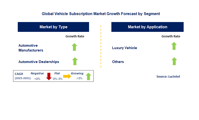 Vehicle Subscription Market by Segment