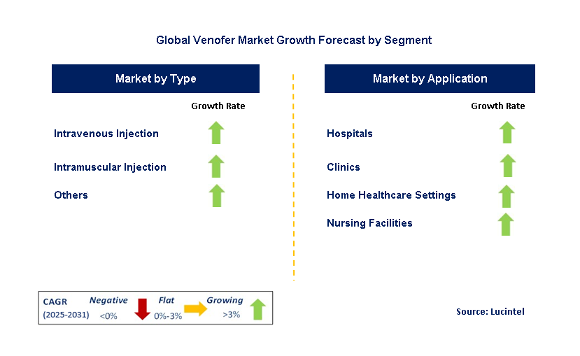 Venofer Market by Segment