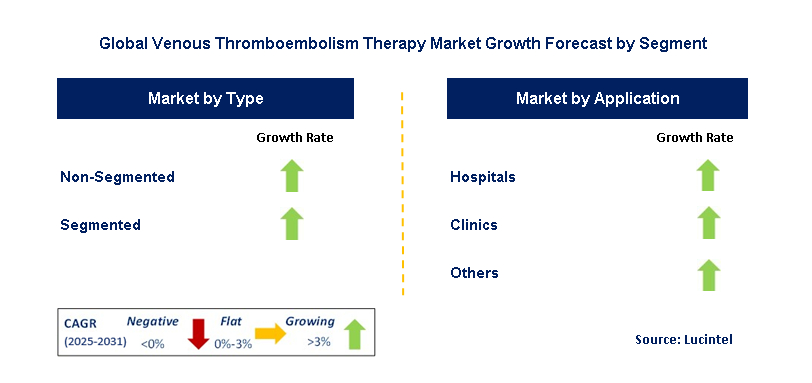 Venous Thromboembolism Therapy Market by Segment