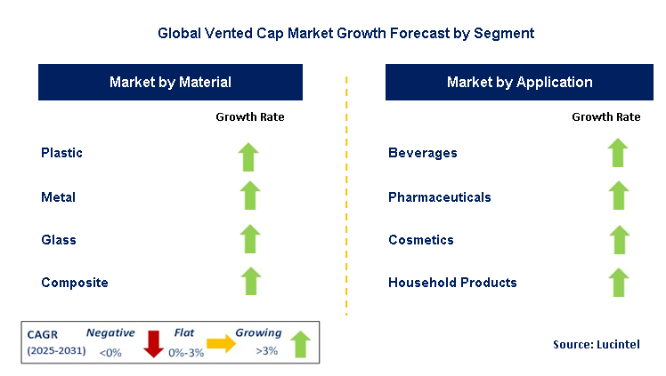 Vented Cap Market by Segment