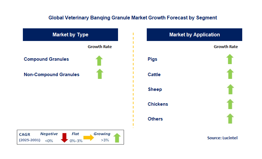 Veterinary Banqing Granule Market by Segment