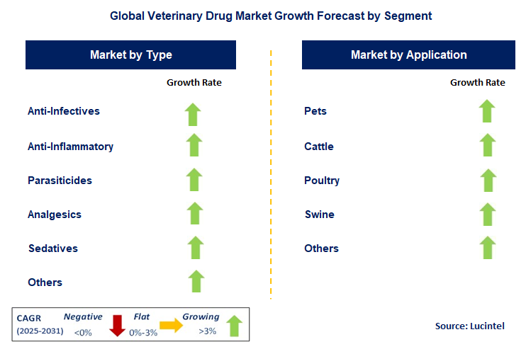 Veterinary Drug Market by Segment