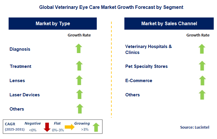 Veterinary Eye Care Market by Segment