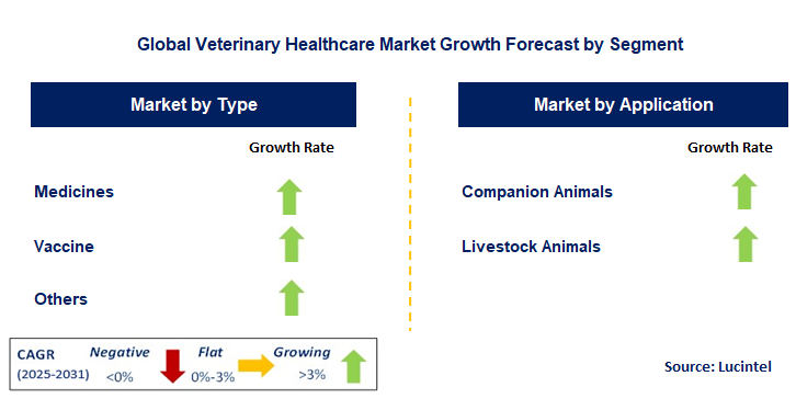 Veterinary Healthcare Market by Segment