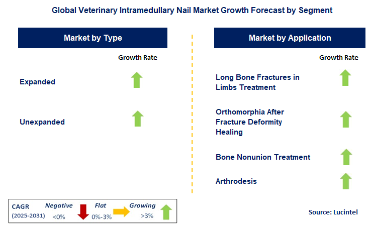 Veterinary Intramedullary Nail Market by Segment