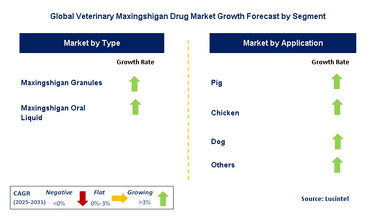 Veterinary Maxingshigan Drug Market by Segment