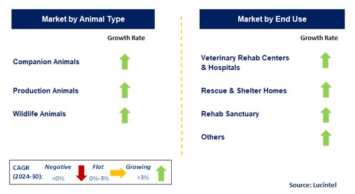 Veterinary Rehabilitation Services by Segment
