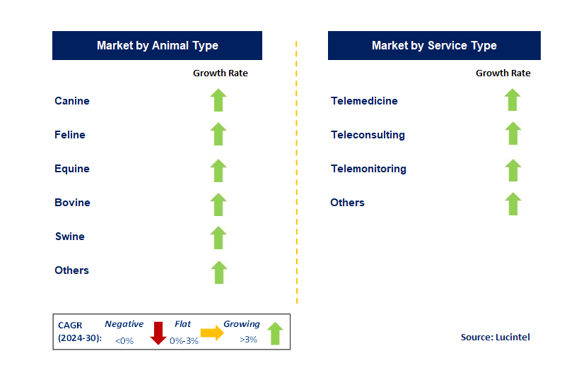 Veterinary Telehealth by Segment