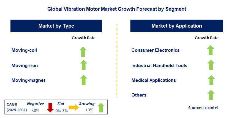 Vibration Motor Market by Segment
