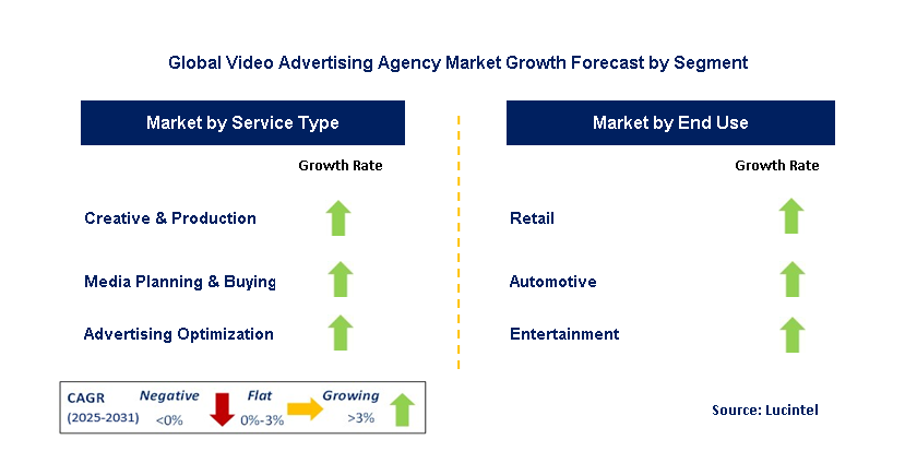 Video Advertising Agency Market by Segment