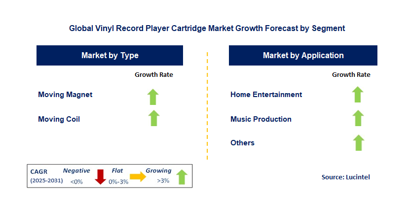 Vinyl Record Player Cartridge Market by Segment