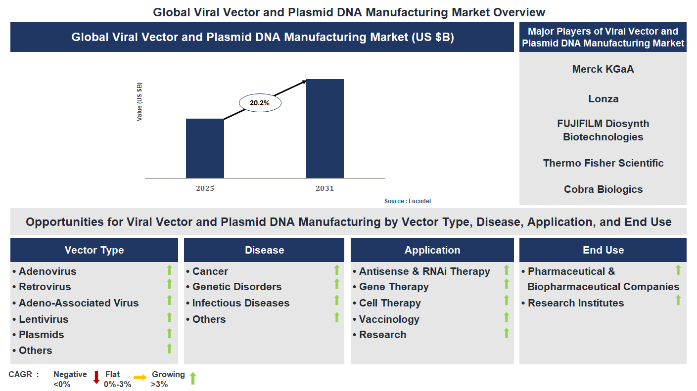 Viral Vector and Plasmid DNA Manufacturing Market Trends and Forecast