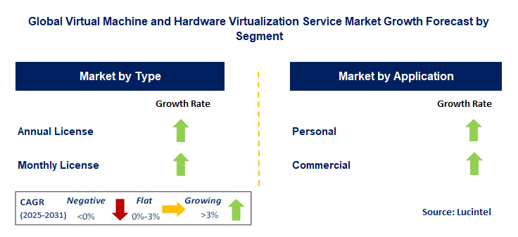 Virtual Machine And Hardware Virtualization Service Market by Segment