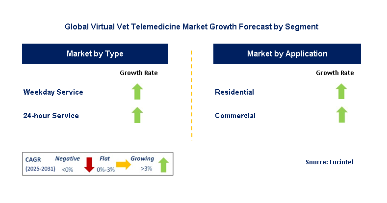 Virtual Vet Telemedicine Market by Segment