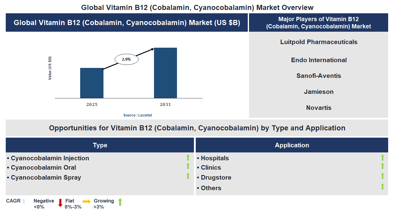 Vitamin B12 (Cobalamin, Cyanocobalamin) Market Trends and Forecast