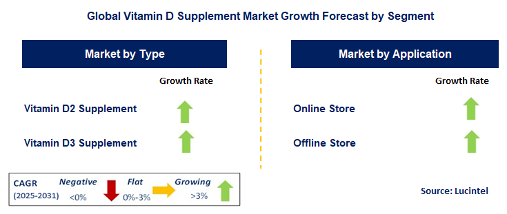 Vitamin D Supplement Market by Segment