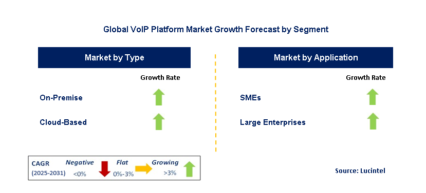 VoIP Platform Market by Segment