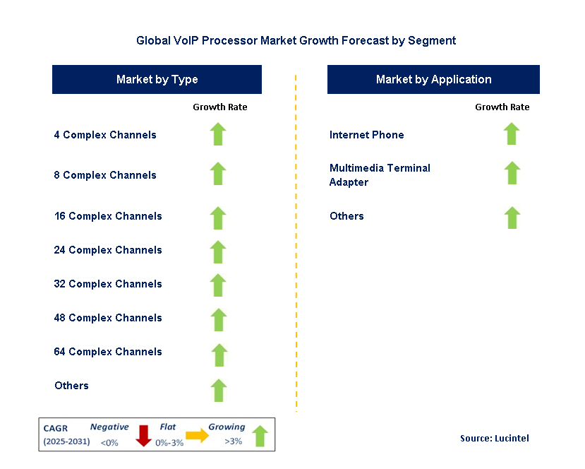 VoIP Processor Market by Segment