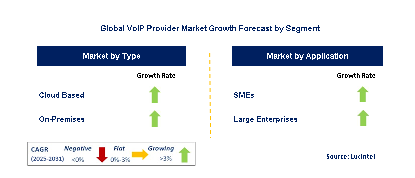 VoIP Provider Market by Segment