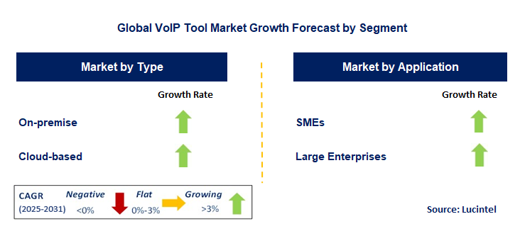 VoIP Tool Market by Segment