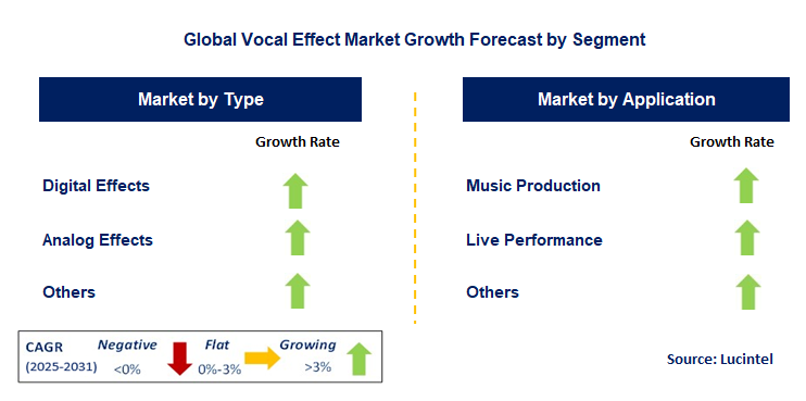 Vocal Effect Market by Segment