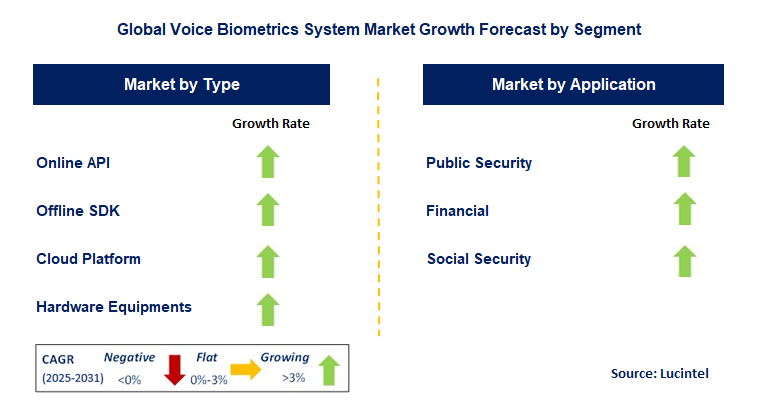 Voice Biometrics System Market by Segment