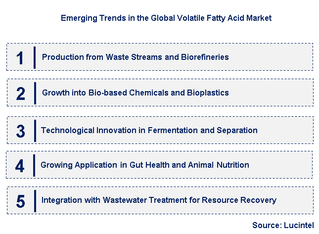 Emerging Trends in the Volatile Fatty Acid Market