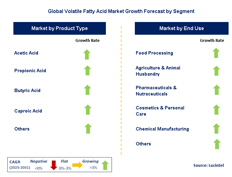 Volatile Fatty Acid Market by Segment