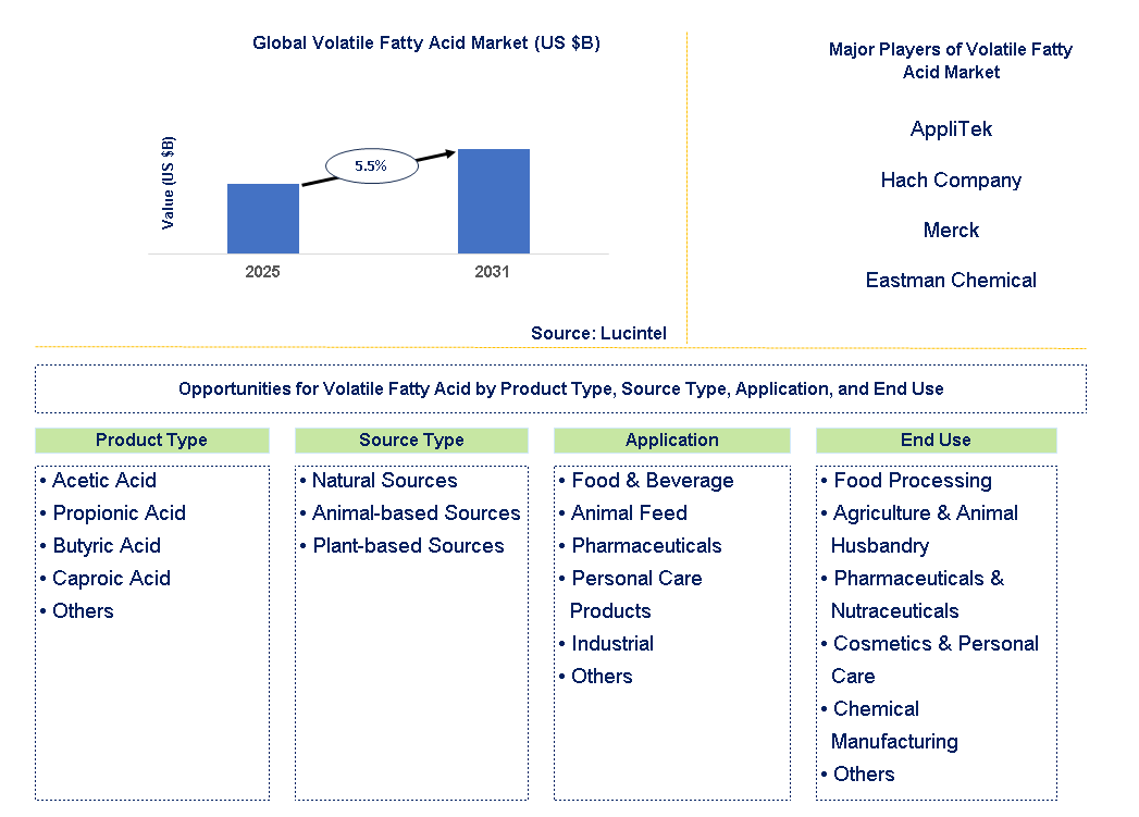 Volatile Fatty Acid Market Trends and Forecast