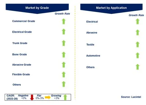 Vulcanized Fiber Market by Segments Vulcanized Fiber Market by Segments