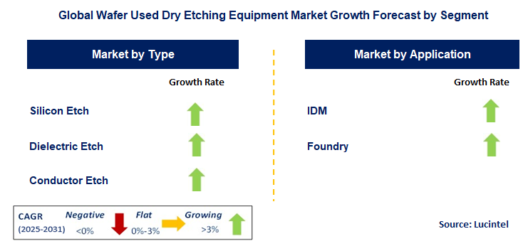 Wafer Used Dry Etching Equipment Market by Segment