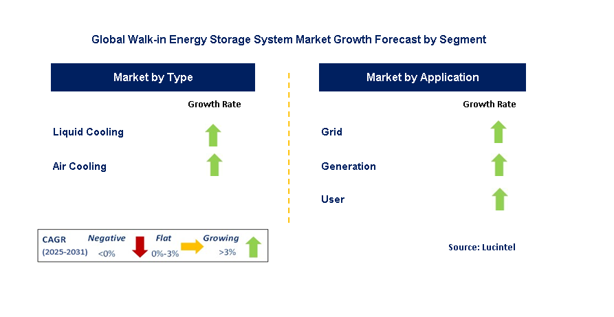Walk-in Energy Storage System Market by Segment
