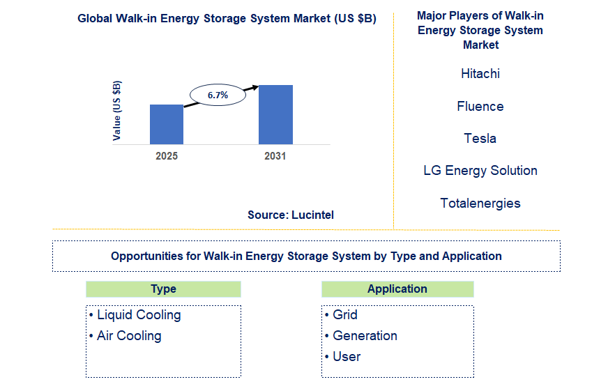 Walk-in Energy Storage System Market Trends and Forecast